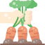 Harvesting